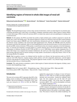 Identifying regions of interest in whole slide images of renal cell carcinoma