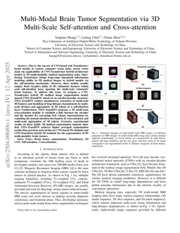 Multi-Modal Brain Tumor Segmentation via 3D Multi-Scale Self-attention and Cross-attention