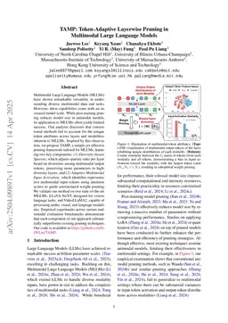 TAMP: Token-Adaptive Layerwise Pruning in Multimodal Large Language Models