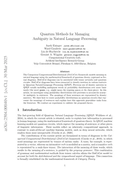 Quantum Methods for Managing Ambiguity in Natural Language Processing