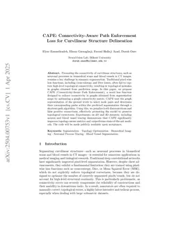 CAPE: Connectivity-Aware Path Enforcement Loss for Curvilinear Structure Delineation