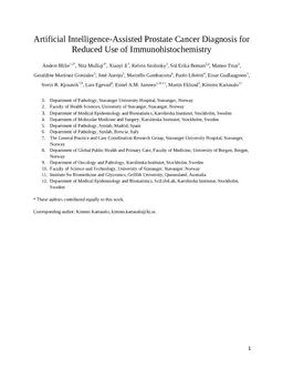 Artificial Intelligence-Assisted Prostate Cancer Diagnosis for Reduced Use of Immunohistochemistry