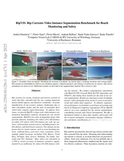 RipVIS: Rip Currents Video Instance Segmentation Benchmark for Beach Monitoring and Safety