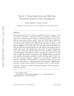 TenAd: A Tensor-based Low-rank Black Box Adversarial Attack for Video Classification