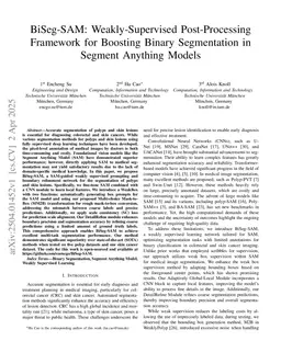 BiSeg-SAM: Weakly-Supervised Post-Processing Framework for Boosting Binary Segmentation in Segment Anything Models