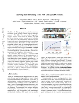 Learning from Streaming Video with Orthogonal Gradients