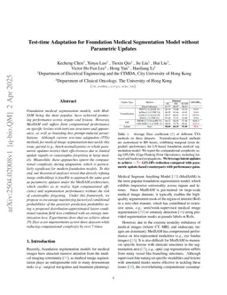 Test-time Adaptation for Foundation Medical Segmentation Model without Parametric Updates