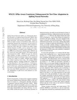 SPACE: SPike-Aware Consistency Enhancement for Test-Time Adaptation in Spiking Neural Networks