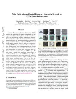 Noise Calibration and Spatial-Frequency Interactive Network for STEM Image Enhancement