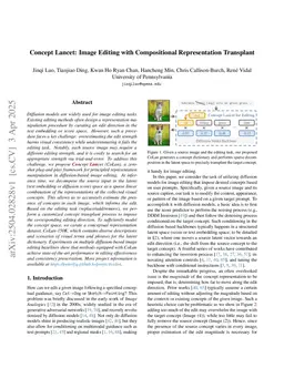 Concept Lancet: Image Editing with Compositional Representation Transplant