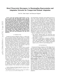 Sliced Wasserstein Discrepancy in Disentangling Representation and Adaptation Networks for Unsupervised Domain Adaptation