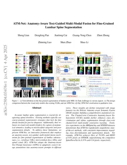 ATM-Net: Anatomy-Aware Text-Guided Multi-Modal Fusion for Fine-Grained Lumbar Spine Segmentation