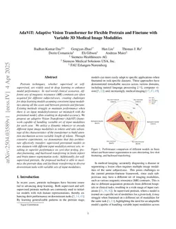 AdaViT: Adaptive Vision Transformer for Flexible Pretrain and Finetune with Variable 3D Medical Image Modalities