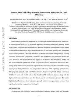 Segment Any Crack: Deep Semantic Segmentation Adaptation for Crack Detection