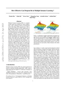 How Effective Can Dropout Be in Multiple Instance Learning ?
