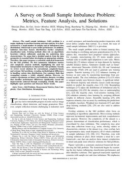 A Survey on Small Sample Imbalance Problem: Metrics, Feature Analysis, and Solutions