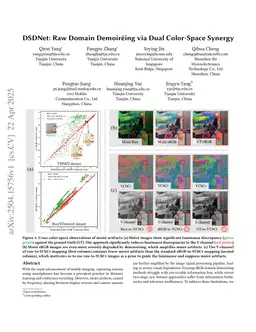 DSDNet: Raw Domain Demoiréing via Dual Color-Space Synergy