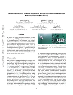 Model-based Metric 3D Shape and Motion Reconstruction of Wild Bottlenose Dolphins in Drone-Shot Videos