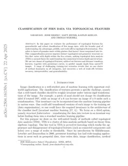 Classification of Firn Data via Topological Features