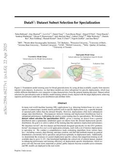 DataS^3: Dataset Subset Selection for Specialization