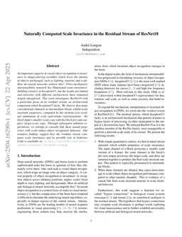 Naturally Computed Scale Invariance in the Residual Stream of ResNet18