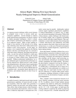 Almost Right: Making First-Layer Kernels Nearly Orthogonal Improves Model Generalization