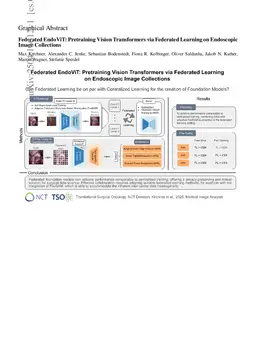 Federated EndoViT: Pretraining Vision Transformers via Federated Learning on Endoscopic Image Collections