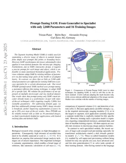 Prompt-Tuning SAM: From Generalist to Specialist with only 2048 Parameters and 16 Training Images