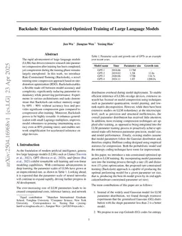 BackSlash: Rate Constrained Optimized Training of Large Language Models