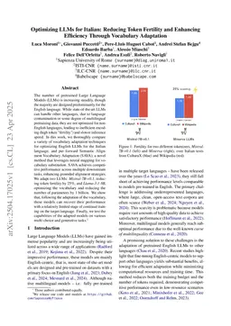Optimizing LLMs for Italian: Reducing Token Fertility and Enhancing Efficiency Through Vocabulary Adaptation