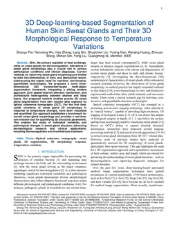 3D Deep-learning-based Segmentation of Human Skin Sweat Glands and Their 3D Morphological Response to Temperature Variations