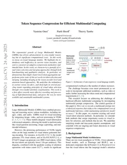 Token Sequence Compression for Efficient Multimodal Computing