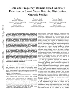 Time and Frequency Domain-based Anomaly Detection in Smart Meter Data for Distribution Network Studies