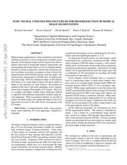 NUDF: Neural Unsigned Distance Fields for high resolution 3D medical image segmentation