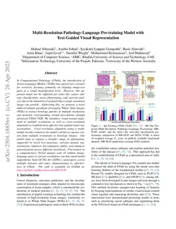 Multi-Resolution Pathology-Language Pre-training Model with Text-Guided Visual Representation