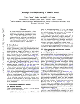 Challenges in interpretability of additive models