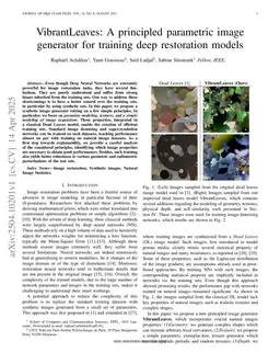 VibrantLeaves: A principled parametric image generator for training deep restoration models
