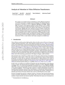 Analysis of Attention in Video Diffusion Transformers