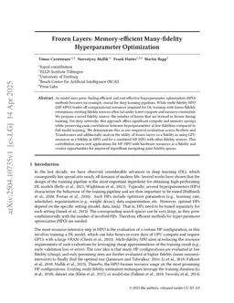 Frozen Layers: Memory-efficient Many-fidelity Hyperparameter Optimization