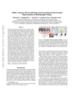 AFiRe: Anatomy-Driven Self-Supervised Learning for Fine-Grained Representation in Radiographic Images