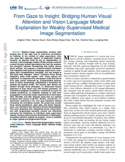 From Gaze to Insight: Bridging Human Visual Attention and Vision Language Model Explanation for Weakly-Supervised Medical Image Segmentation