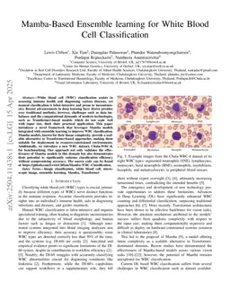 Mamba-Based Ensemble learning for White Blood Cell Classification