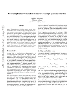 Uncovering Branch specialization in InceptionV1 using k sparse autoencoders