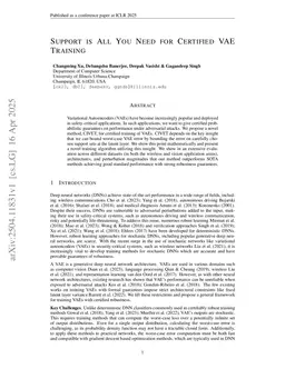 Support is All You Need for Certified VAE Training