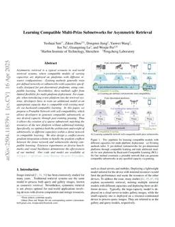 Learning Compatible Multi-Prize Subnetworks for Asymmetric Retrieval