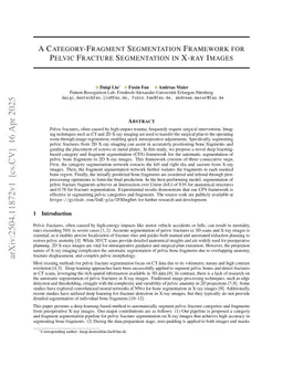 A Category-Fragment Segmentation Framework for Pelvic Fracture Segmentation in X-ray Images