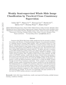 Weakly Semi-supervised Whole Slide Image Classification by Two-level Cross Consistency Supervision