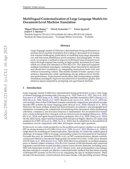 Multilingual Contextualization of Large Language Models for Document-Level Machine Translation
