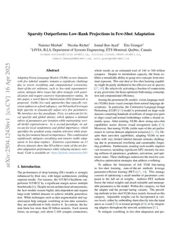 Sparsity Outperforms Low-Rank Projections in Few-Shot Adaptation