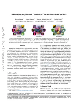 Disentangling Polysemantic Channels in Convolutional Neural Networks